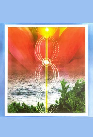 VIC Rocklyn Yoga Ashram PRANAVIDYA – the Science of Prana – lifeforce   with Swami Yogakanti. For people who have been practising pranayama for some time and wish to deepen their knowledge of pranamaya kosha.